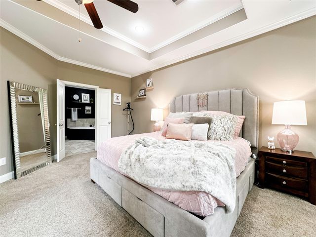 717 Via Lago, Webster, TX 77598