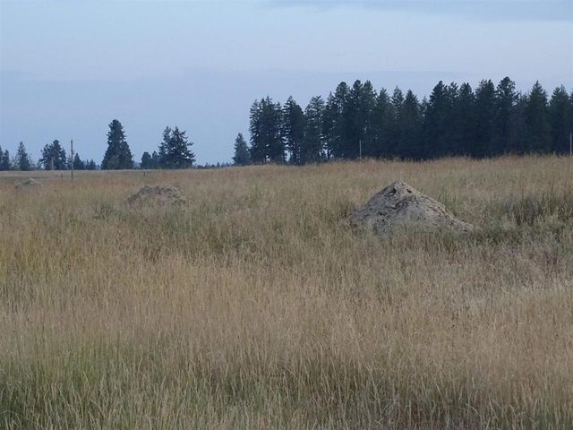Orchard Rd, Chattaroy, WA 99003