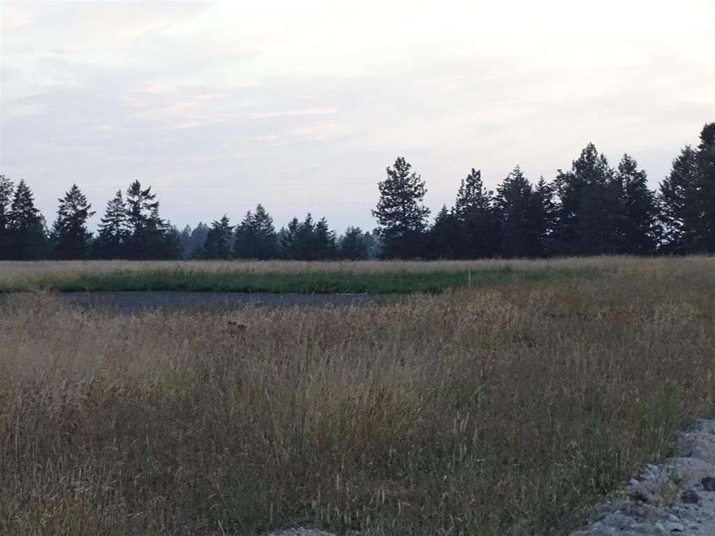 Orchard Rd, Chattaroy, WA 99003 photo 1
