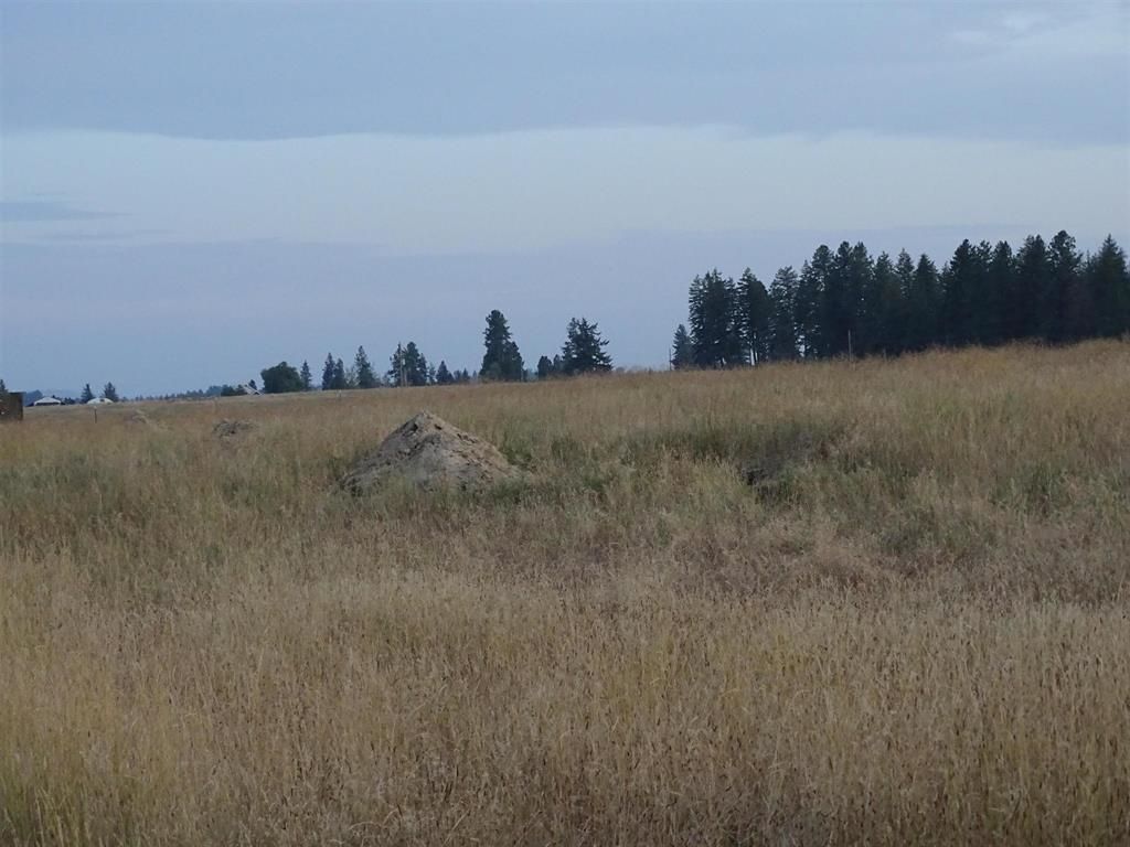 Orchard Rd, Chattaroy, WA 99003 photo 2