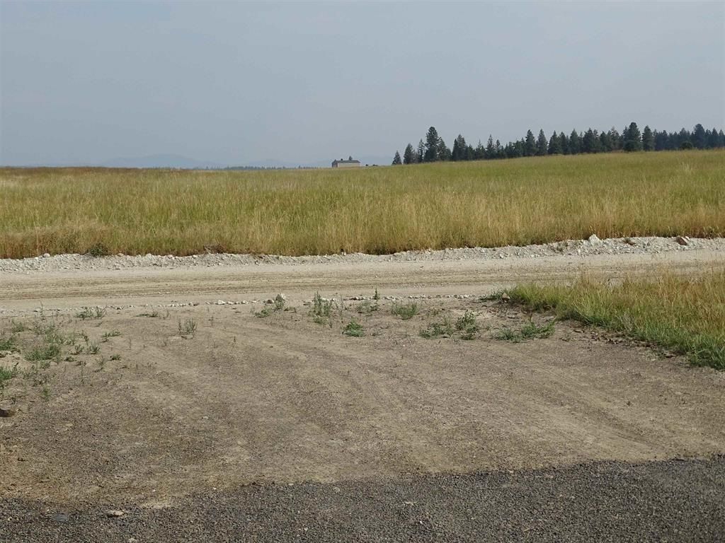 Orchard Rd, Chattaroy, WA 99003 photo 3