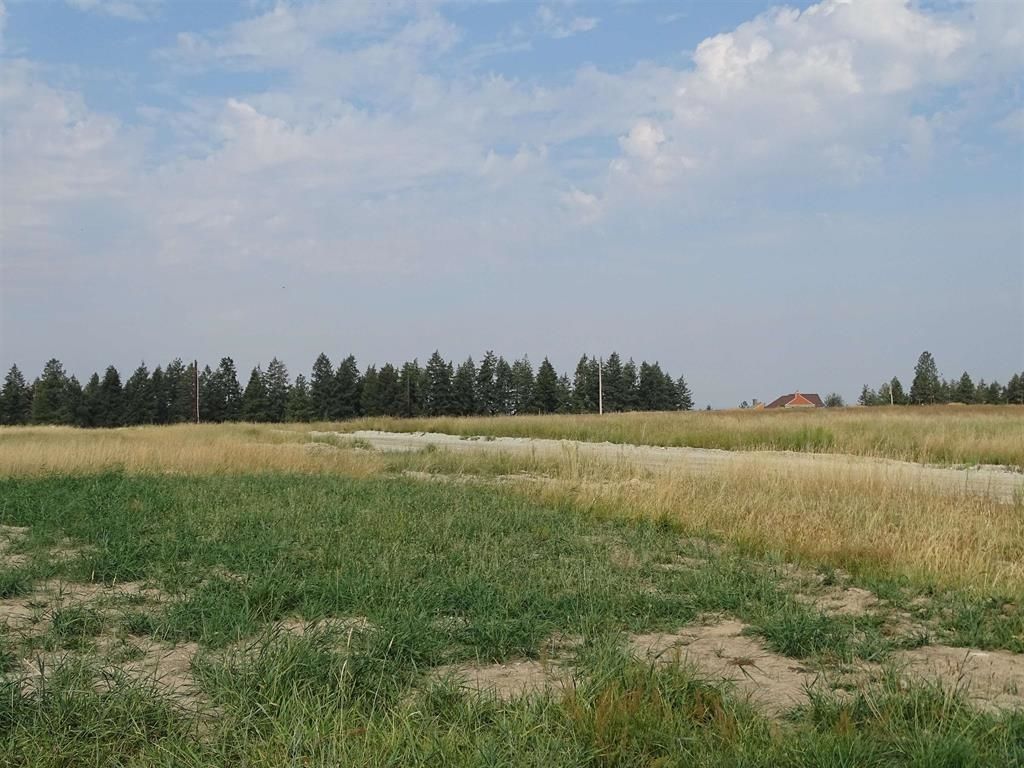 Orchard Rd, Chattaroy, WA 99003 photo 4