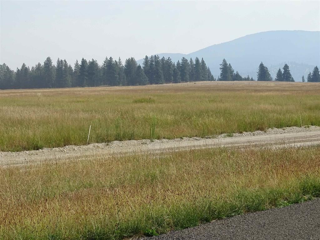 Orchard Rd, Chattaroy, WA 99003 photo 5