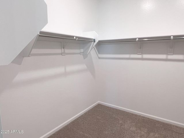 15736 W CAMDEN Avenue, Waddell, AZ 85355