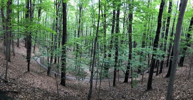 15 Shingle Mill Road, Irondequoit, NY 14609