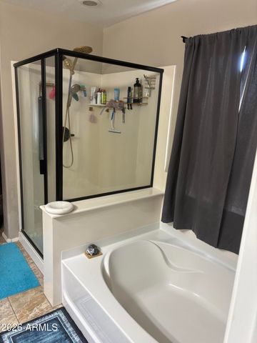 28311 N CACTUS FLOWER Circle, San Tan Valley, AZ 85143