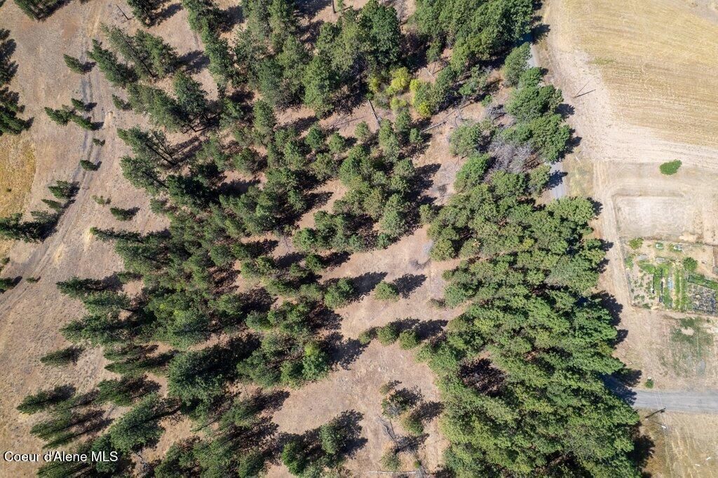 NNA Holiday Rd, Harrison, ID 83833 photo 15