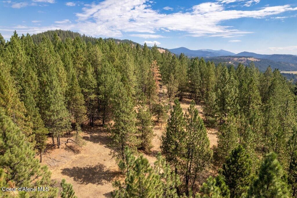 NNA Holiday Rd, Harrison, ID 83833 photo 19