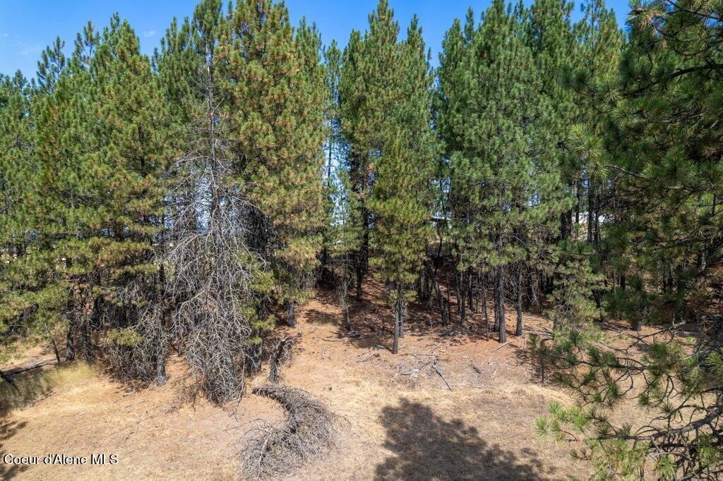 NNA Holiday Rd, Harrison, ID 83833 photo 20