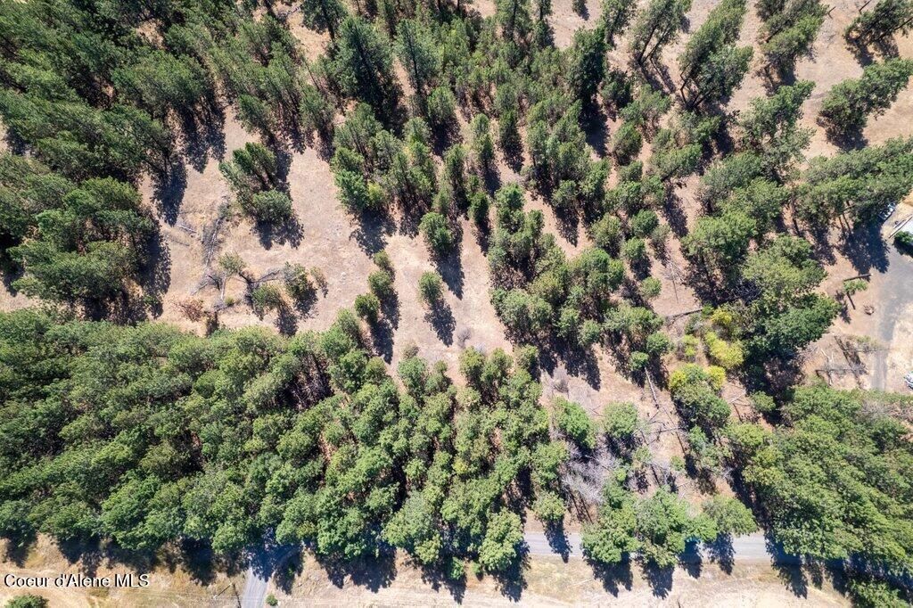 NNA Holiday Rd, Harrison, ID 83833 photo 8