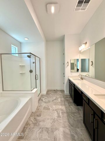 3824 E Fiesta Flower Lane, San Tan Valley, AZ 85140