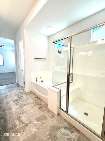 3824 E Fiesta Flower Lane, San Tan Valley, AZ 85140