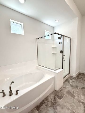 3824 E Fiesta Flower Lane, San Tan Valley, AZ 85140