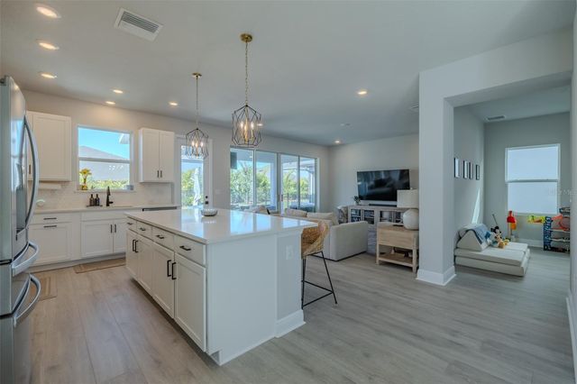 5924 HIDDEN BRANCH DRIVE, Apollo Beach, FL 33572