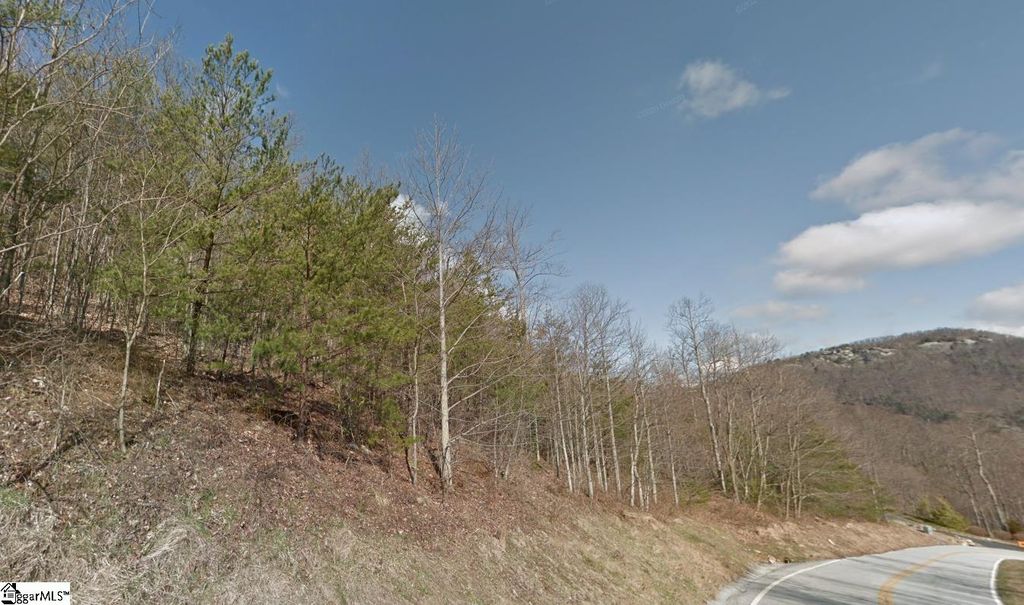 45 Foggy Cut Lane, Landrum, SC 29356