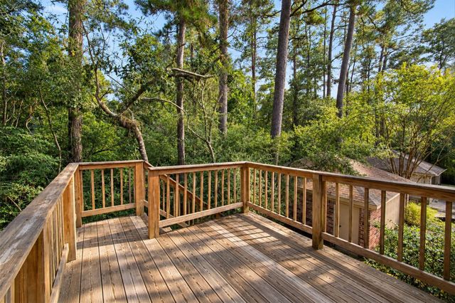 42 Thorn Berry Place, The Woodlands, TX 77381