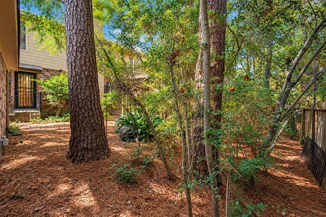 42 Thorn Berry Place, The Woodlands, TX 77381