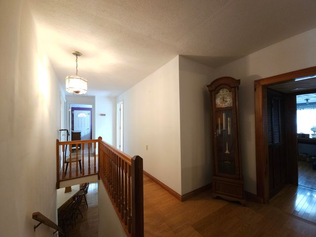 319 Camp Judy Lane, Wellington, KY 40387