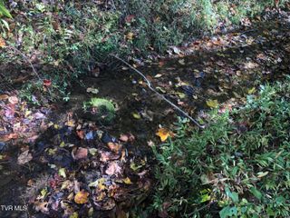 0 Rich Valley (Lot 65) Road, Bristol, VA 24202