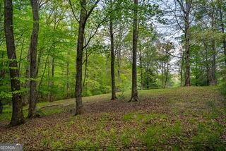 LOT 3-4 Scouts Overlook Lane, Morganton, GA 30560