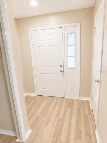 1628 BAKER ROAD, Lutz, FL 33559