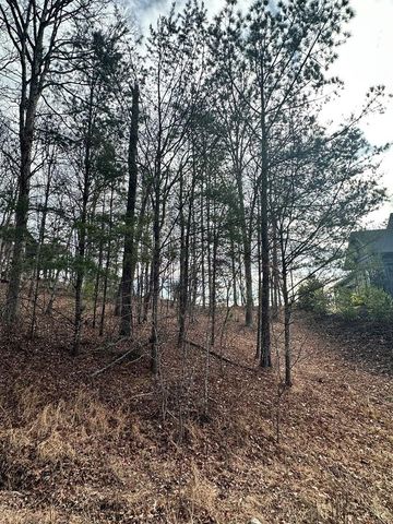 Lot 95 Fallen Leaf Road, Mineral Bluff, GA 30559