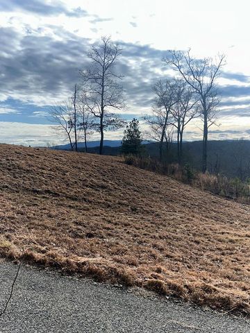 Lot 95 Fallen Leaf Road, Mineral Bluff, GA 30559