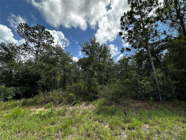 12930 NE 15TH STREET, Williston, FL 32696