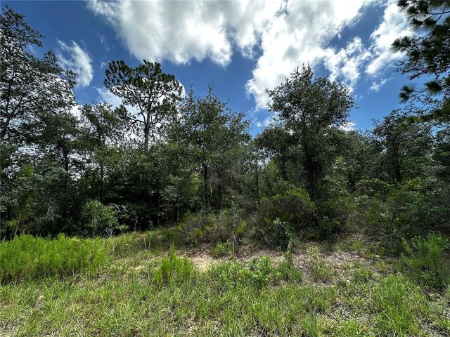 12930 NE 15TH STREET, Williston, FL 32696