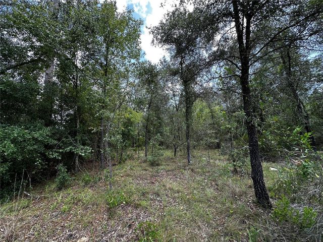 12930 NE 15TH STREET, Williston, FL 32696