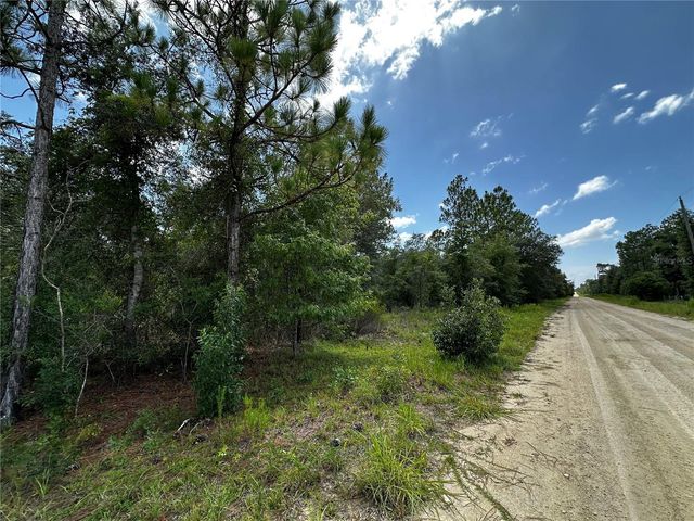 12930 NE 15TH STREET, Williston, FL 32696