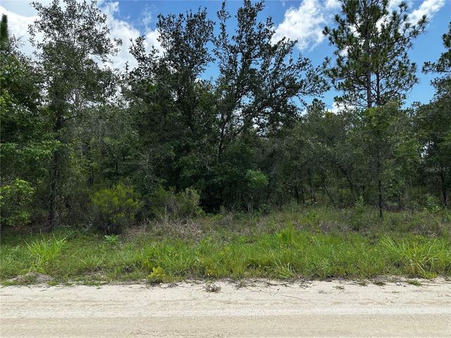 12930 NE 15TH STREET, Williston, FL 32696