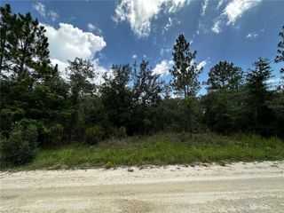 12930 NE 15TH STREET, Williston, FL 32696