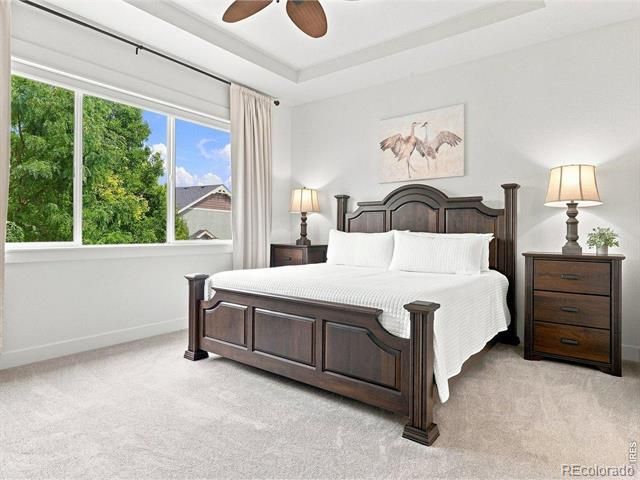 5510 Evangeline Drive, Windsor, CO 80550