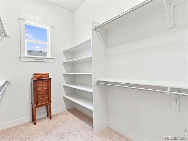 5510 Evangeline Drive, Windsor, CO 80550