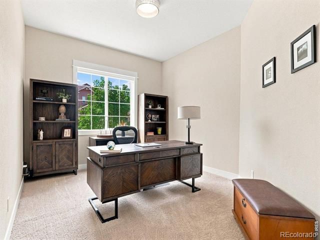 5510 Evangeline Drive, Windsor, CO 80550