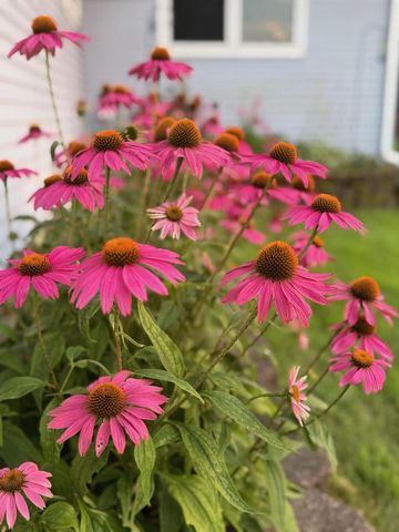 N3910 Pleasant View AVENUE, Cascade, WI 53011