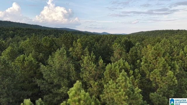 218 FOXTAIL PATH, Westover, AL 35147