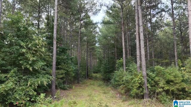 218 FOXTAIL PATH, Westover, AL 35147