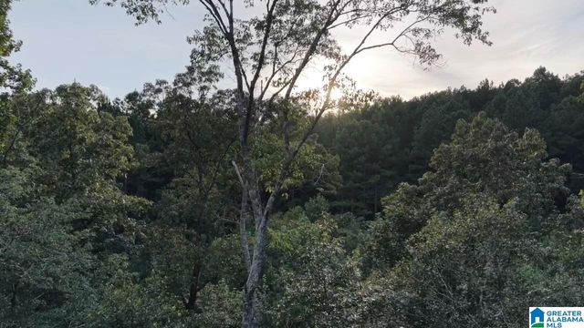 218 FOXTAIL PATH, Westover, AL 35147