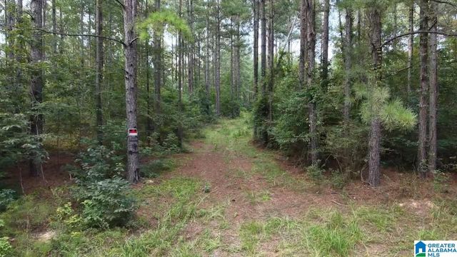 218 FOXTAIL PATH, Westover, AL 35147