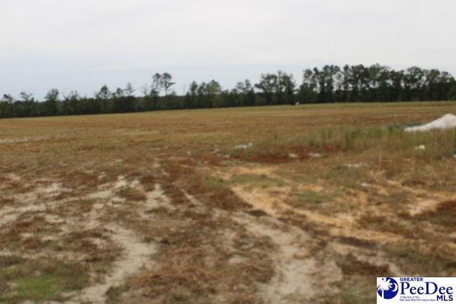 2007 antioch rd, Hartsville, SC 29550