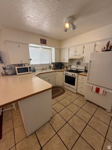 591 E 300 S, Mt Pleasant, UT 84647