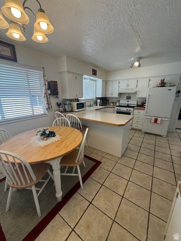 591 E 300 S, Mt Pleasant, UT 84647