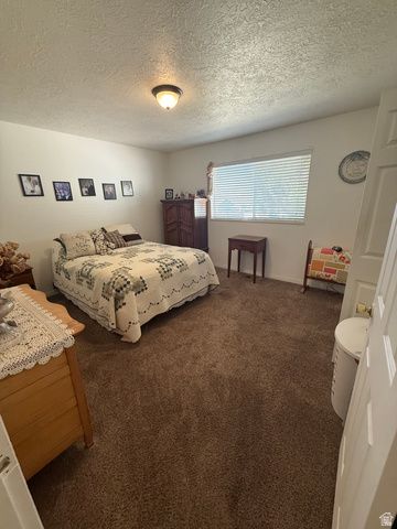 591 E 300 S, Mt Pleasant, UT 84647