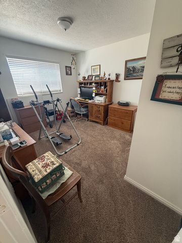 591 E 300 S, Mt Pleasant, UT 84647