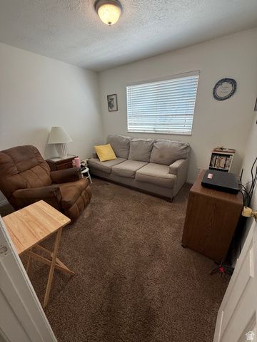 591 E 300 S, Mt Pleasant, UT 84647