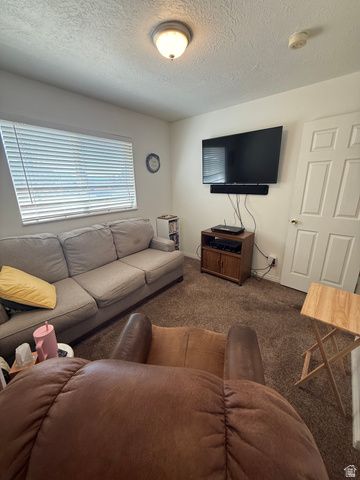 591 E 300 S, Mt Pleasant, UT 84647