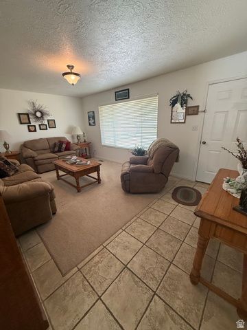 591 E 300 S, Mt Pleasant, UT 84647
