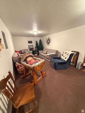 591 E 300 S, Mt Pleasant, UT 84647